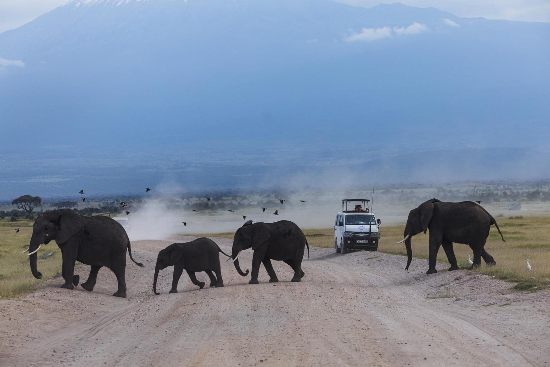 Kilimanjaro View Cabin-Amboseli Oloitokitok Szoba fotó