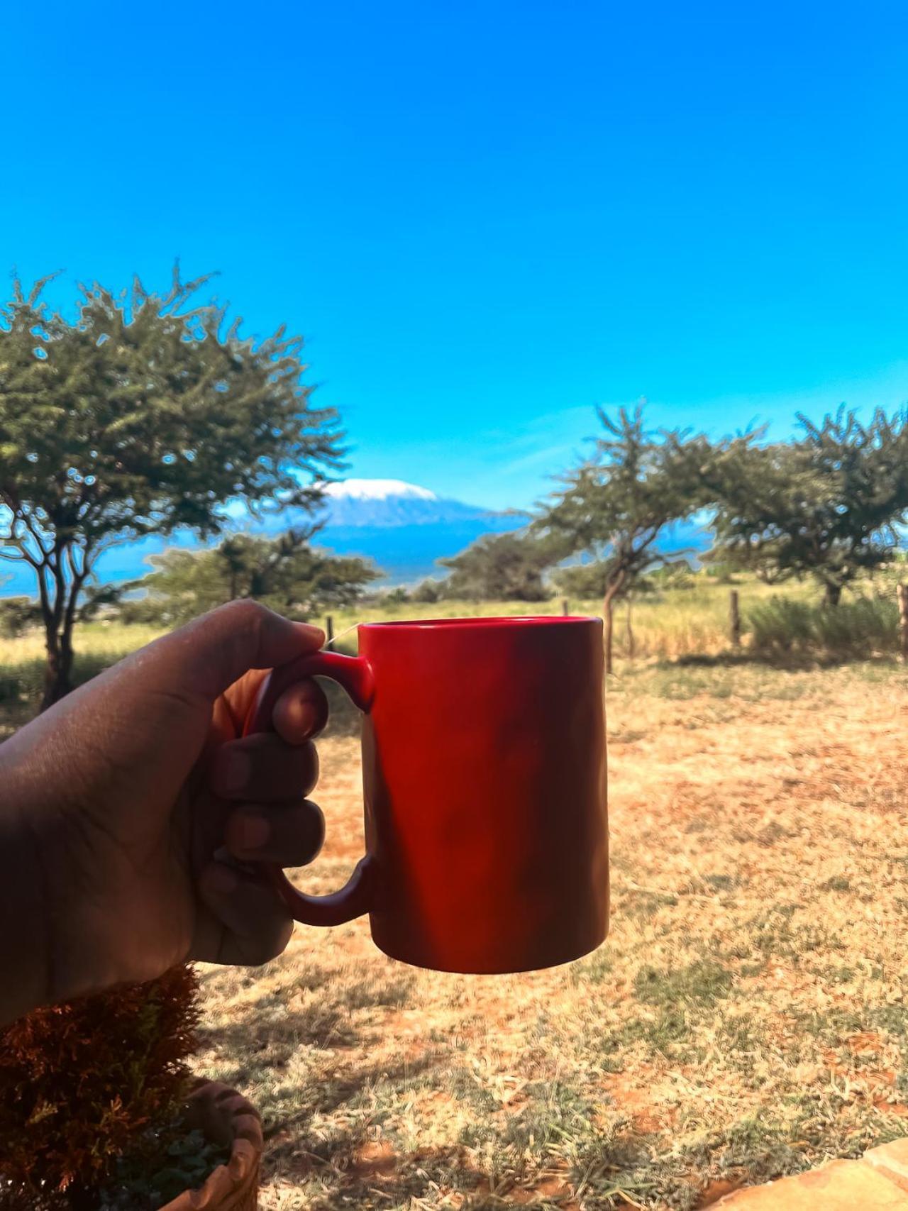 Kilimanjaro View Cabin-Amboseli Oloitokitok Szoba fotó